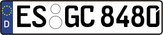 ES-GC8480