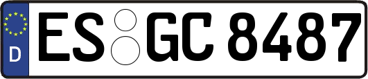 ES-GC8487