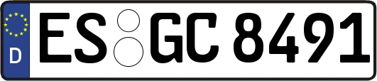 ES-GC8491