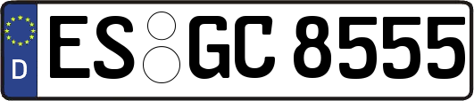 ES-GC8555