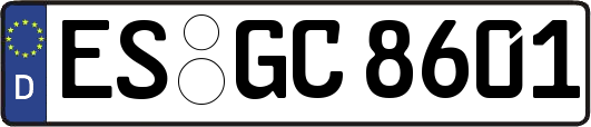 ES-GC8601
