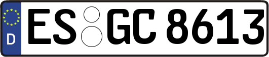 ES-GC8613
