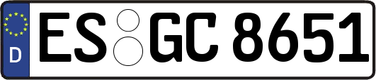 ES-GC8651