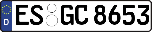 ES-GC8653