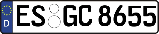 ES-GC8655