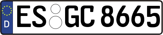 ES-GC8665