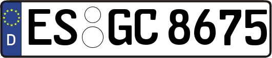 ES-GC8675