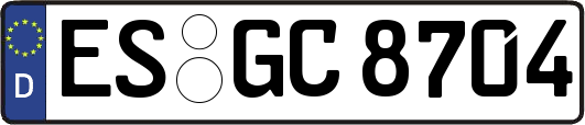 ES-GC8704