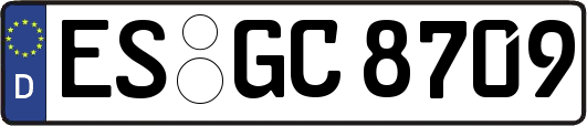 ES-GC8709