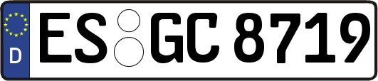 ES-GC8719