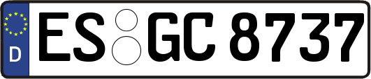 ES-GC8737