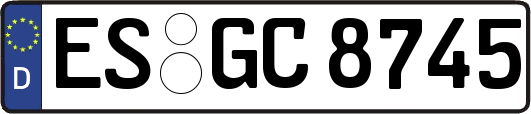 ES-GC8745