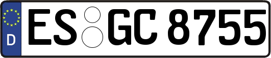 ES-GC8755