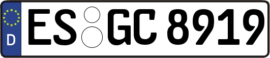 ES-GC8919