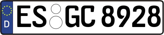 ES-GC8928