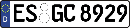 ES-GC8929