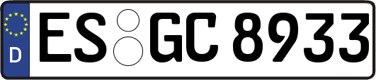 ES-GC8933
