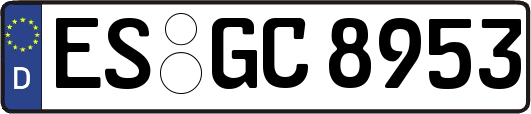 ES-GC8953