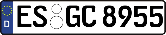 ES-GC8955