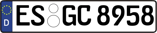 ES-GC8958