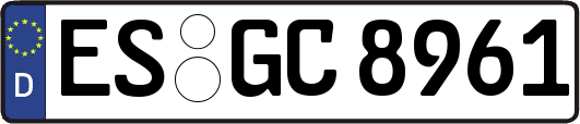 ES-GC8961