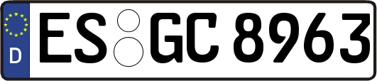 ES-GC8963