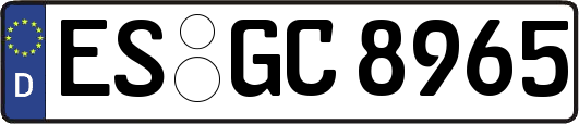 ES-GC8965