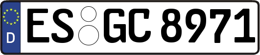 ES-GC8971