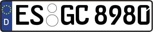 ES-GC8980