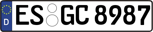 ES-GC8987