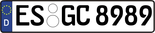 ES-GC8989
