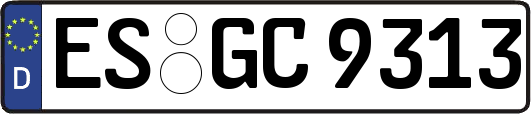 ES-GC9313