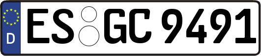 ES-GC9491