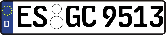ES-GC9513