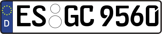 ES-GC9560