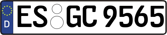 ES-GC9565