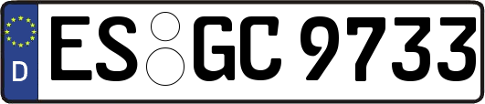 ES-GC9733