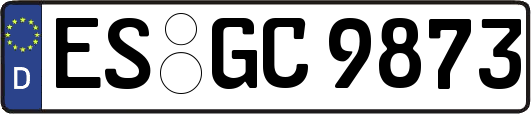 ES-GC9873