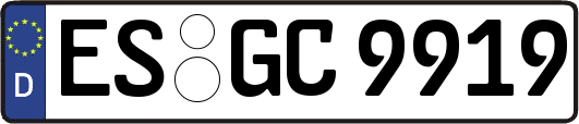ES-GC9919