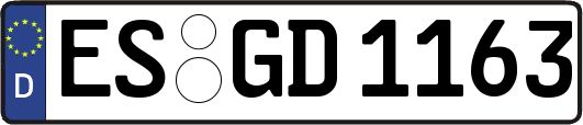 ES-GD1163