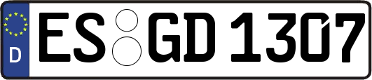 ES-GD1307
