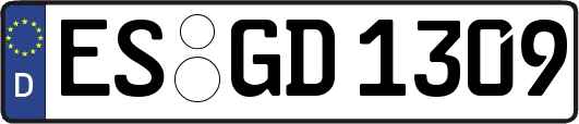 ES-GD1309