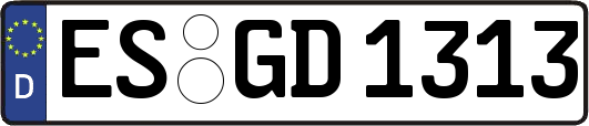ES-GD1313