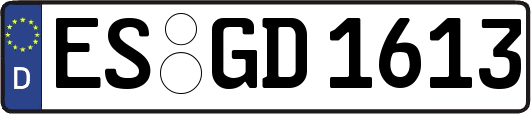 ES-GD1613