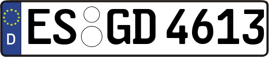 ES-GD4613
