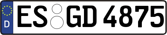 ES-GD4875