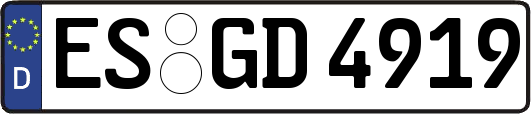 ES-GD4919