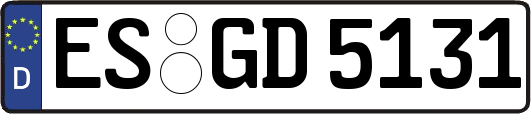 ES-GD5131