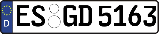 ES-GD5163