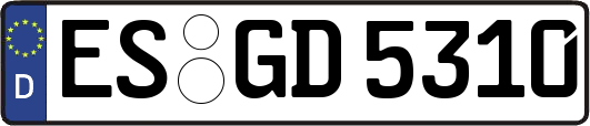 ES-GD5310